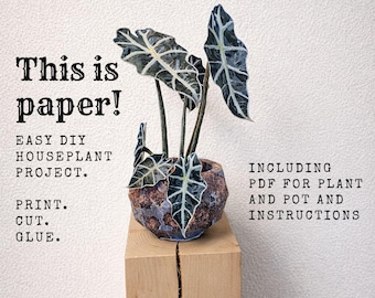 Papercraft house plant PDF with planter - DIY Paper Plants to print, cut and glue - Craft template with planter