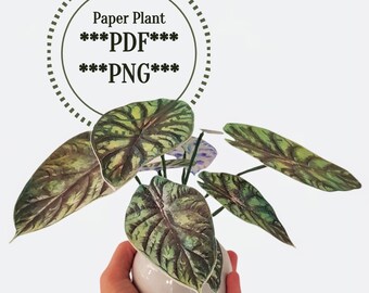 Fake plant, faux rare plant, plant wall decor 3D, paper plant PDF, Paper craft download, paper plant wall decor, printable plant, DIY decor