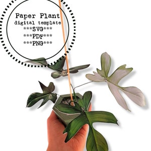 Fake plant, faux plant, paper plant, paper plant template, DIY home decor, paper craft plants, gift for plant lover, DIY plant, SVG plants