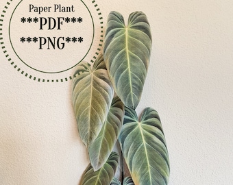 Plant wall decoration digital download, paper craft template, paper plant, DIY decoration, plant wall art, Philodendron print