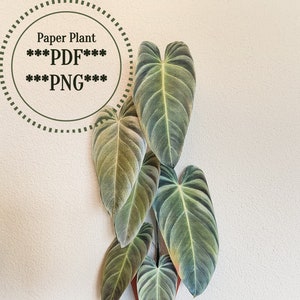 Plant wall decoration digital download, paper craft template, paper plant, DIY decoration, plant wall art, Philodendron print