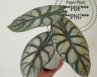 Fake plant, faux rare plant, plant wall decor 3D, paper plant PDF, Paper craft download, paper plant wall decor, printable plant, DIY decor