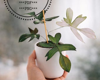 Fake plant, faux plant, paper plant, paper plant template, DIY home decor, paper craft plants, gift for plant lover, DIY plant, SVG plants