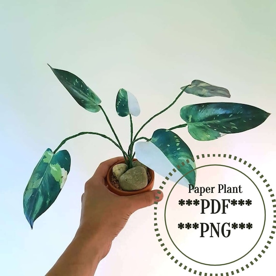 Fake Plant, Digital Download Plant, Paper Plant, DIY Home Decor, Plant Wall  Art, Paper Art, Cut Out Plant, Printable Plant, Download Art - Etsy