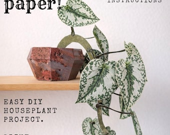 Papercraft house plant PDF with planter - DIY Paper Plants to print, cut and glue - Craft template with planter