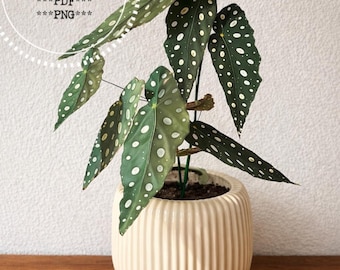 Illustrazione di foglie per piante di carta, download di stampe digitali di piante, lavori di carta, PDF di piante di carta, scrapbooking, piante finte