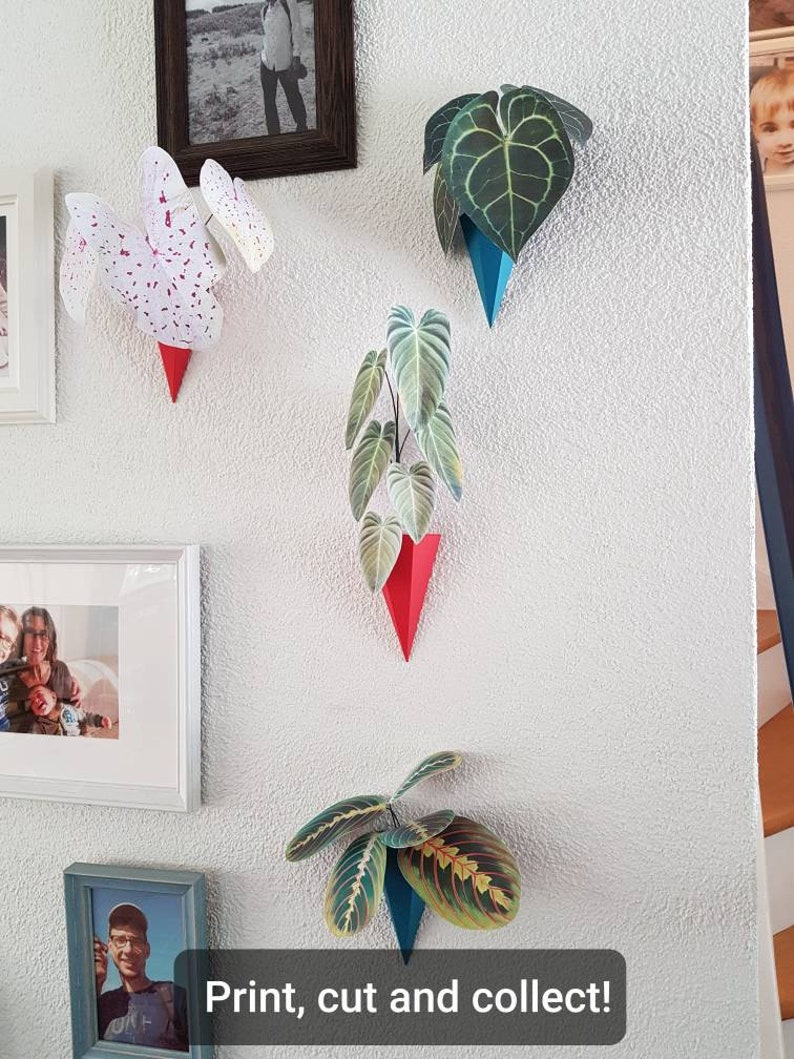 Pu&ograve; includere: Opere d'arte di piante di carta montate su un muro bianco. Le piante sono in supporti geometrici rossi e blu. Il testo "Print, cut and collect!" &egrave; in basso. Varie foto incorniciate sono anche sul muro.