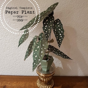 Plant wall decoration digital download, paper craft, paper plant, faux plant, Begonia print