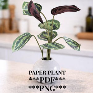 Pu&ograve; includere: Una pianta di carta in un piccolo vaso bianco. La pianta ha foglie verdi e viola ed &egrave; appoggiata su un piano di lavoro colorato chiaro. Il testo "PAPER PLANT" e "PDF" e "PNG" &egrave; sotto il vaso.
