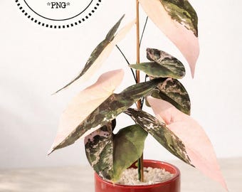 Fake plant, faux plant, paper plant, paper plant template, DIY home decor, paper craft plants, gift for plant lover, DIY plant, SVG plants