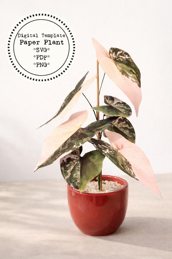 Fake Plant, Faux Plant, Paper Plant, Paper Plant Template, DIY Home Decor,  Paper Craft Plants, Gift for Plant Lover, DIY Plant, SVG Plants - Etsy