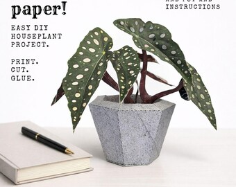 Easy DIY craft project - DIY Paper Plants to print, cut and glue - Craft template with planter