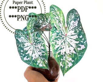 Fake plant, funny wall art, Caladium plant print, digital download plant, paper plant, DIY home decor, plant wall art, paper art