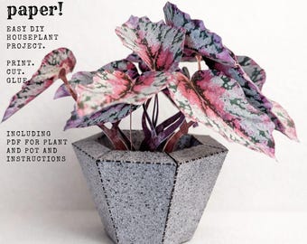 Papercraft house plant PDF with planter - DIY Paper Plants to print, cut and glue - Craft template with planter