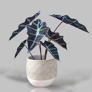 Planta falsa, Decoración de pared, Descarga digital de impresión de plantas, Artesanías de papel, PDF de plantas de papel, Arte de pared de plantas, Planta de papel falso