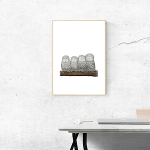 Ural Owl chicks, Bird Watercolor, Room Wall Decor Printable Fine Art Downloadable Animal Illustration Interior Drawing Digital Painting Cute
