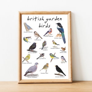 British Garden Birds, printable birds wall art, downloadable bird art, watercolor painting, wildlife print, Illustration Montessori poster