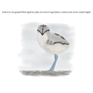 A bátor kis gulipán e-könyv. Ismeretterjesztő gyerekkönyv. Gyerekkönyv a szikes tavak madárvilágáról. 23 színes illusztráció. zdjęcie 3
