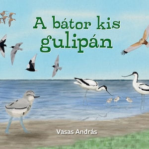 A bátor kis gulipán e-könyv. Ismeretterjesztő gyerekkönyv. Gyerekkönyv a szikes tavak madárvilágáról. 23 színes illusztráció. zdjęcie 1