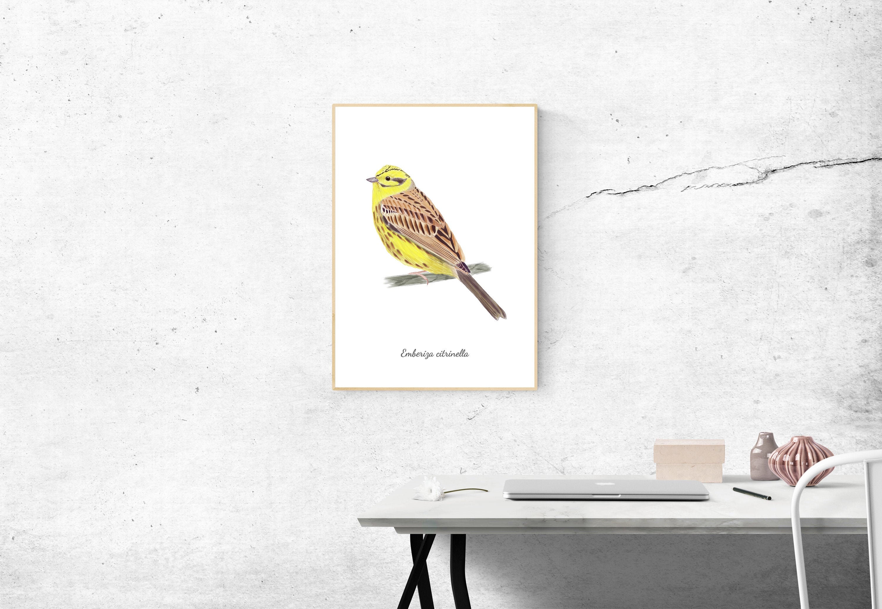 Yellowhammer, Bird Watercolor, Room Wall Decor, Printable Fine Art