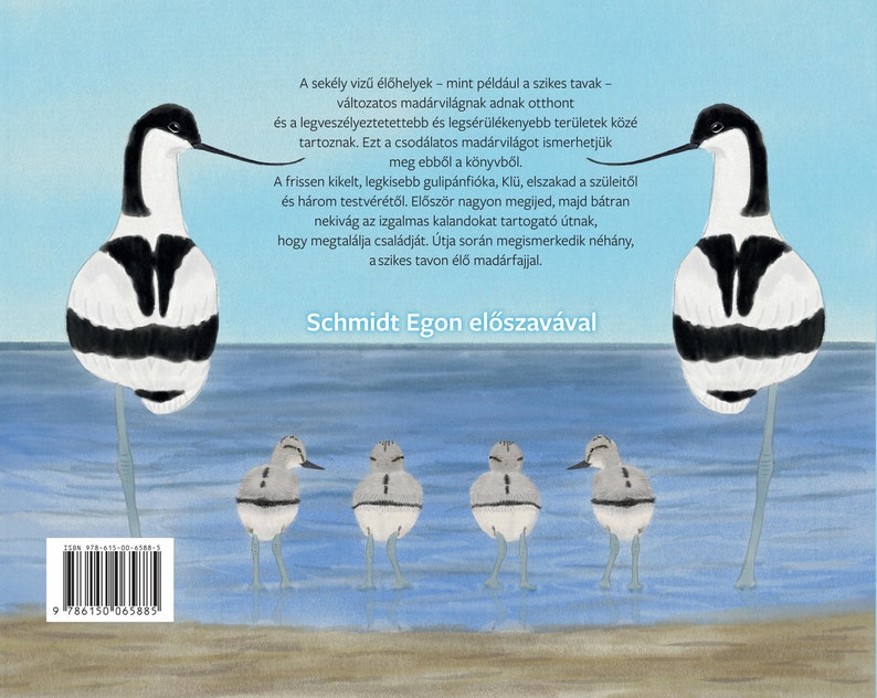 A bátor kis gulipán e-könyv. Ismeretterjesztő gyerekkönyv. Gyerekkönyv a szikes tavak madárvilágáról. 23 színes illusztráció. zdjęcie 10