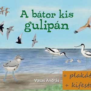 A bátor kis gulipán e-könyv + plakátok + kifestők. Ismeretterjesztő gyerekkönyv a szikes tavak madárvilágáról. 23 színes illusztráció.