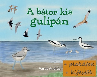 Ein bátor kis gulipán e-könyv + plakátok + kifestők. Ismeretterjesztő gyerekkönyv a szikes tavak madárvilágáról. 23 Stück illusztráció.