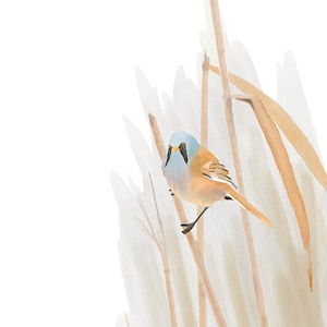 Könnte beinhalten: Ein Aquarellbild eines kleinen braunen und blauen Vogels, der auf einem hohen, dünnen Ast sitzt. Der Hintergrund ist in einem weichen, hellbraunen Ton gehalten mit weißen Akzenten.