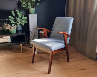 Polish Original Armchair "His" Type 300-123 Mieczysław Puchała 1960s, Mid Century.