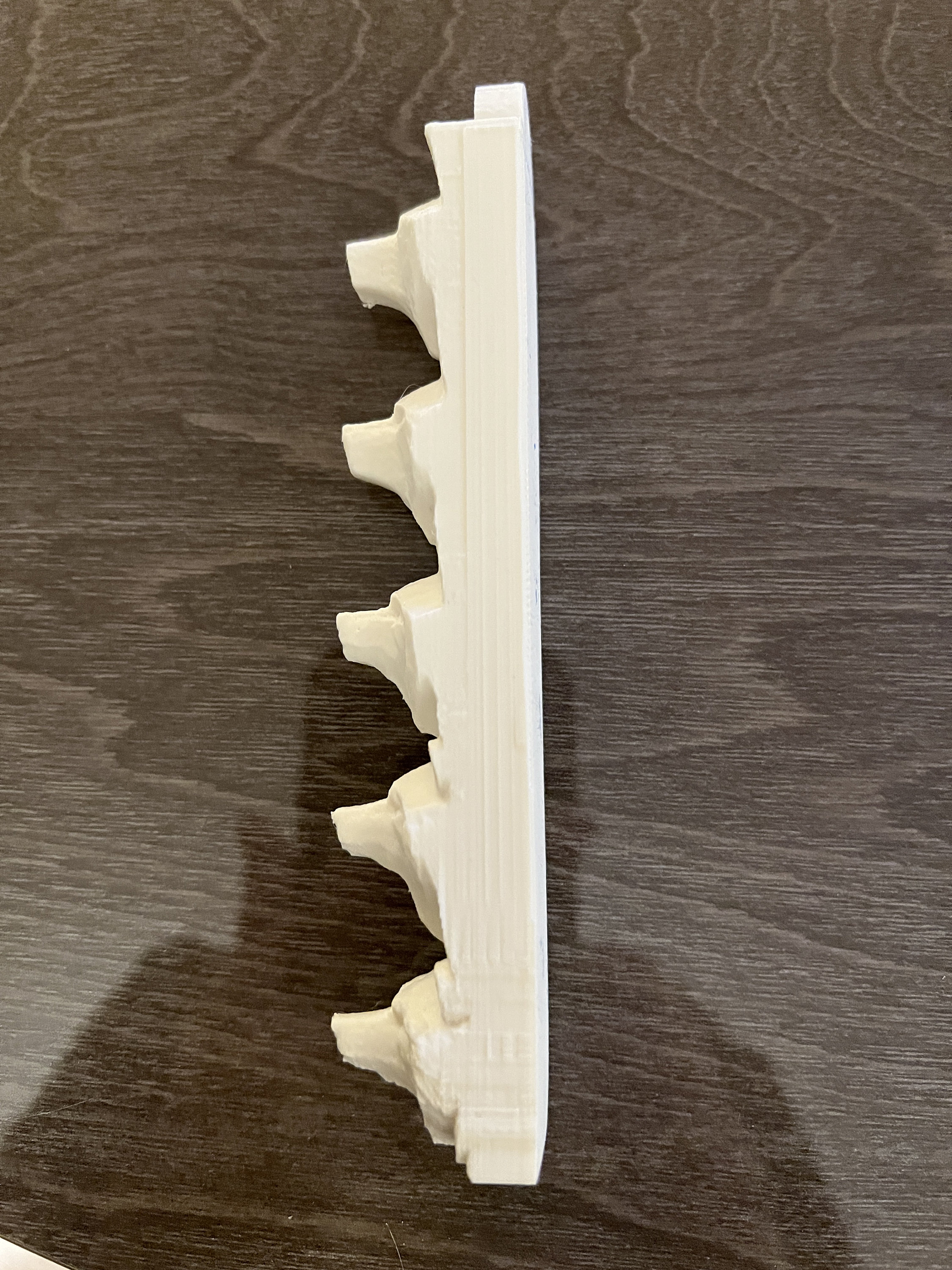 Carving Roughout Step by Step Bear Face - Etsy