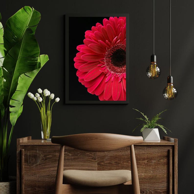 Bright Pink Gerbera Daisy Print: Floral Photography (digital Download ...