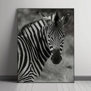 Monochrome Zebra Print: Black and White Animal Photography (Digital Download)
