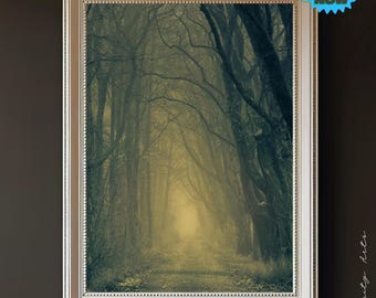 Enchanted Misty Forest Wall Art – Digital Download of Mysterious Nature Pathway