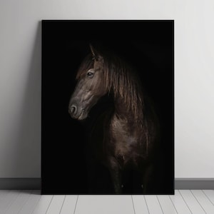 Retrato majestoso de cavalo preto: arte equestre elegante (download digital)