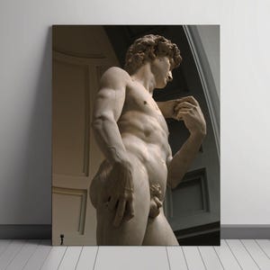 Michelangelo's David Statue Photograph - High-Resolution Art Print of Renaissance Masterpiece