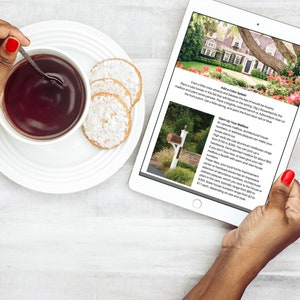 Spring Curb Appeal Workbook, Real Estate Template, Home Seller Packet, Realtor Marketing, Yard Maintenance, Home Design, Canva Flyer