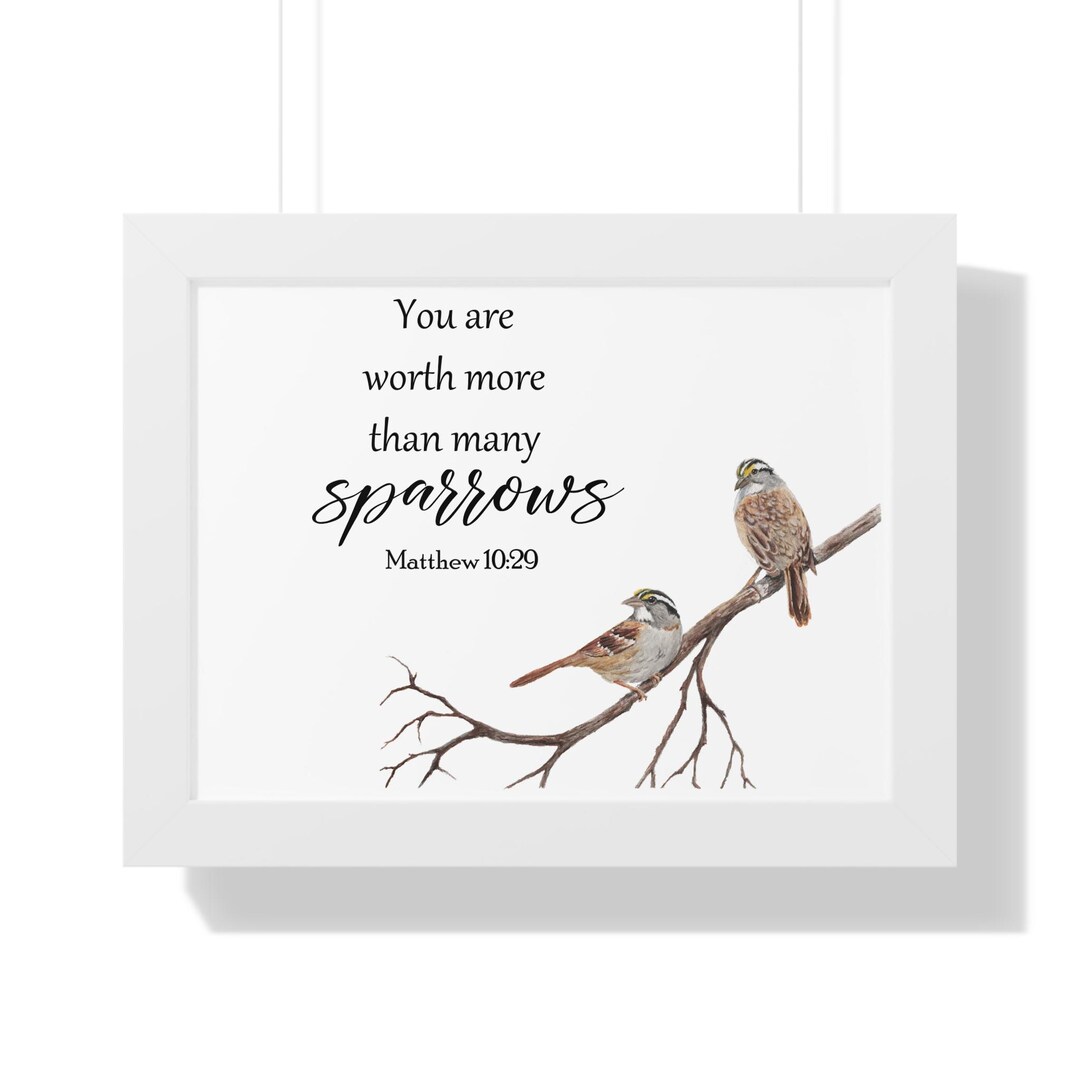 Framed Watercolor Bird Bible Verse Wall Art | You Are Worth More Than ...