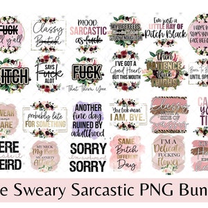 Huge Colorful Sarcastic Sublimation Bundle - Funny PNG Files For Crafters  - Instant Download PNG Files - Mug Tshirt Sublimation Designs