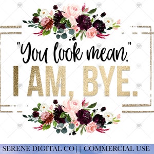 Je ziet eruit als PNG, Grappige PNG, Bitch Sublimation Download, Sarcastisch, Tumbler, Mok, Instant Download, Grappig, Floral Glitter, PNG Download