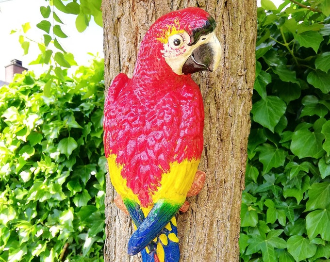 A red parrot / macaw
