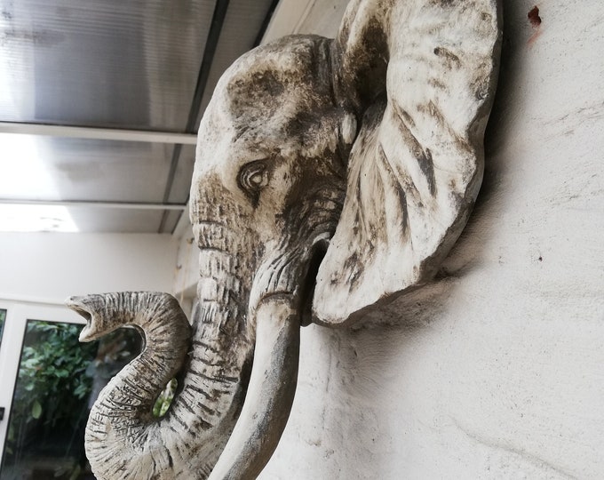 Elephant head - Wall mounted