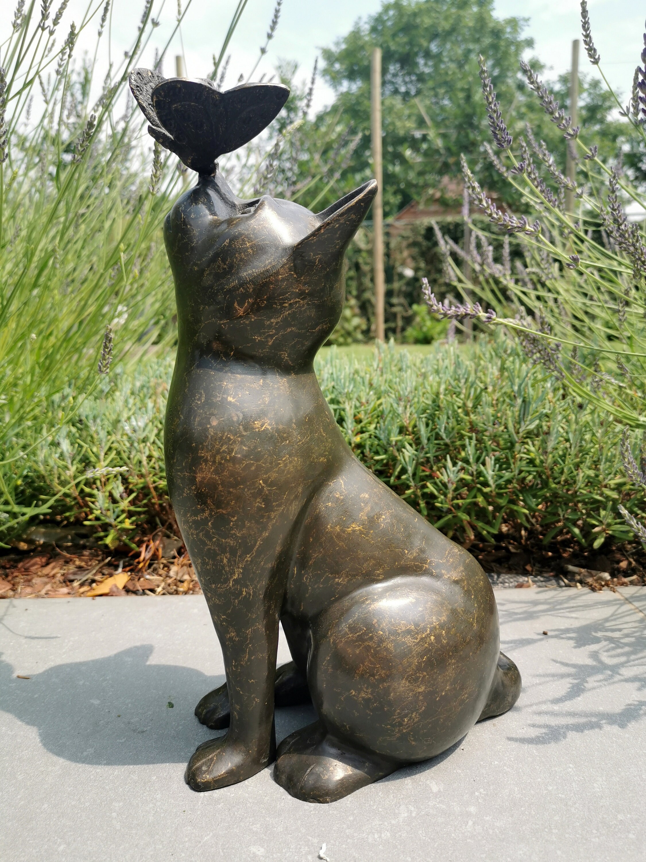 Beautiful bronze sculpture of a cat with a butterfly on it's nose