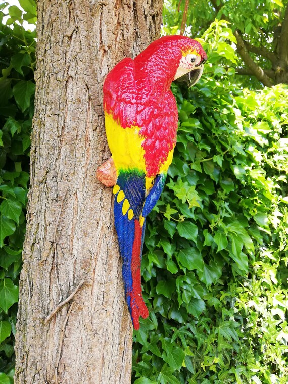 Buy A Red Parrot Macaw Online in India Etsy