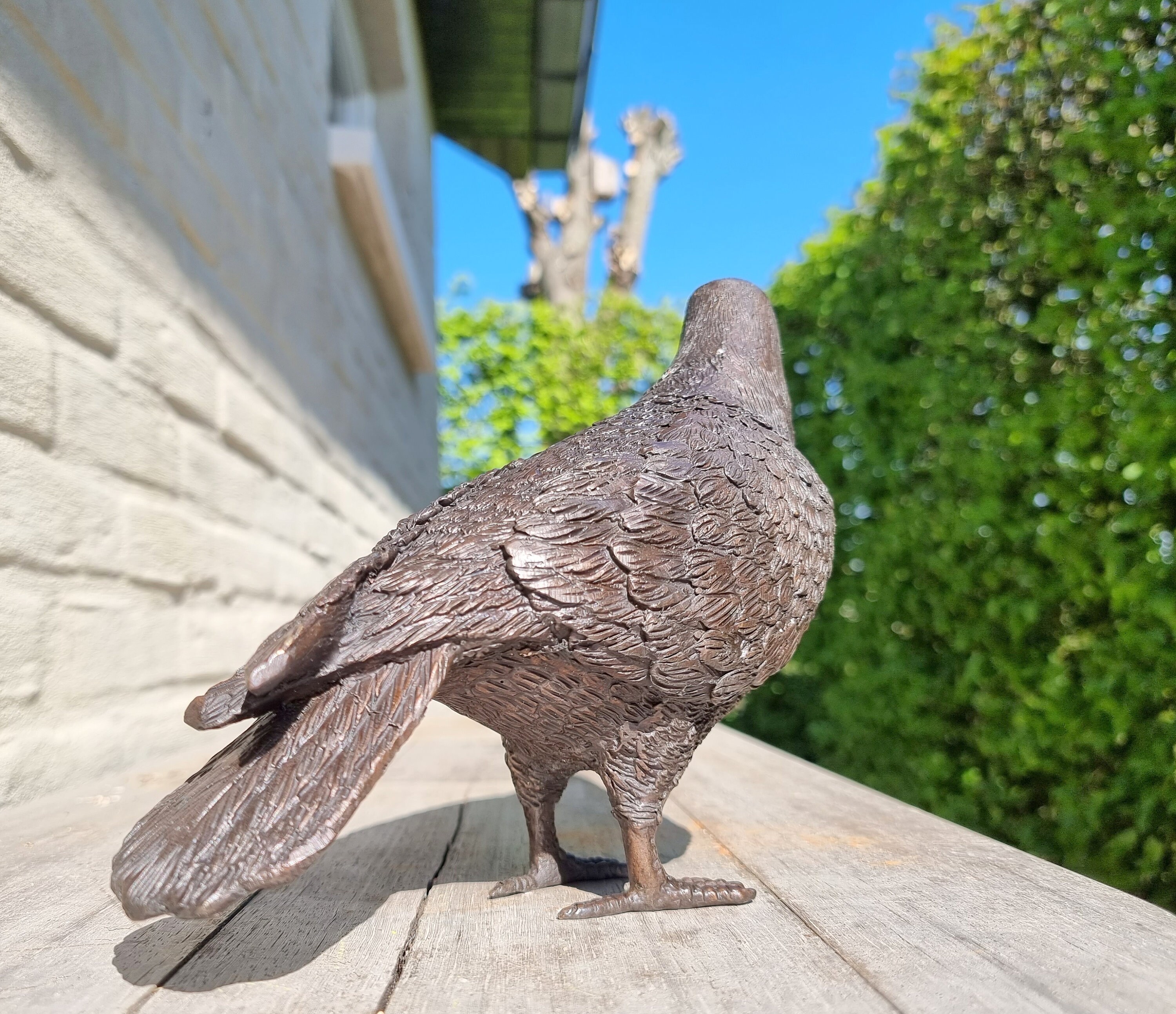 Lifelike bronze pigeon Garden statues Garden ornaments Bronze