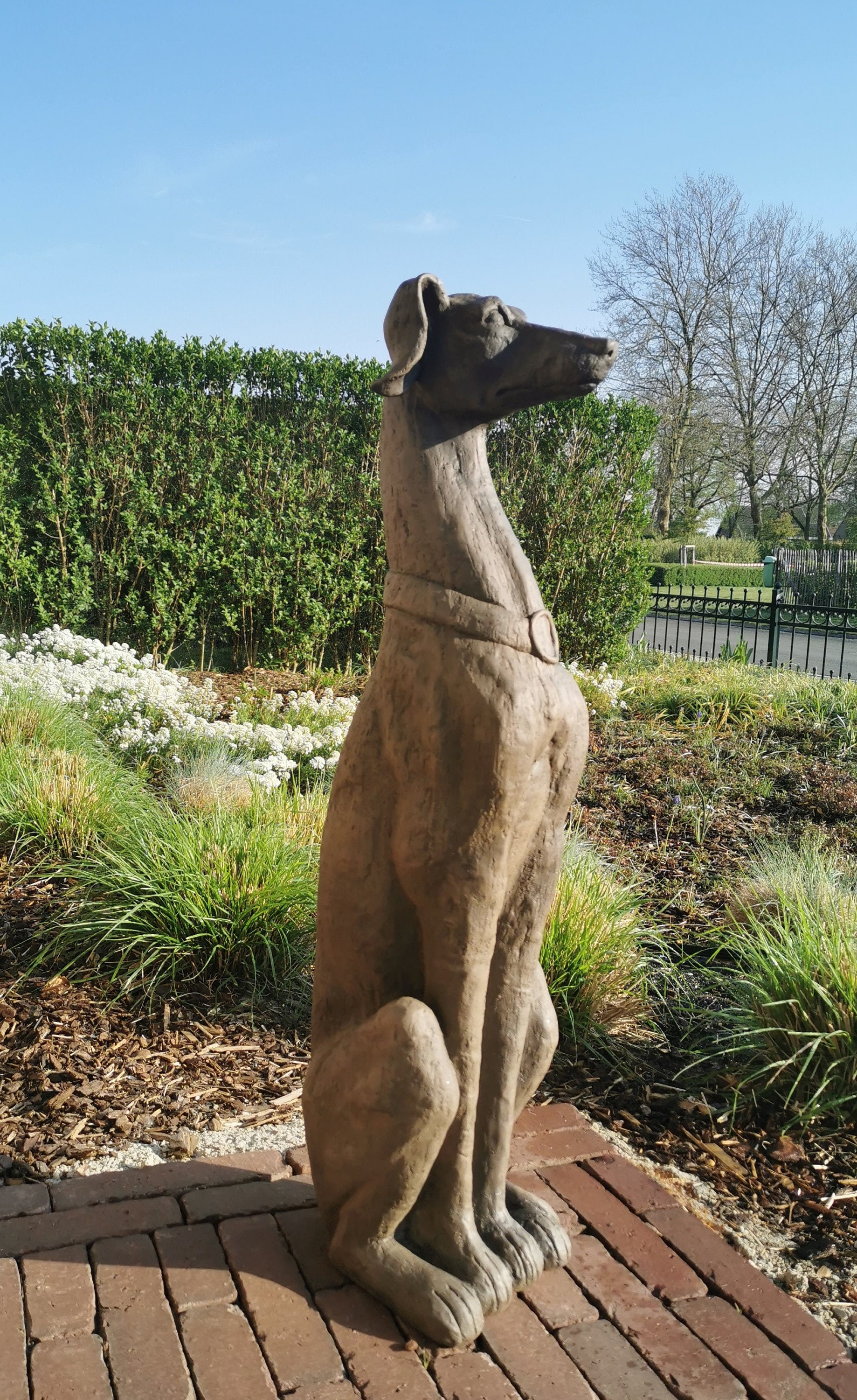 Amazing greyhound sculpture borzoi statue XL Entryway statue
