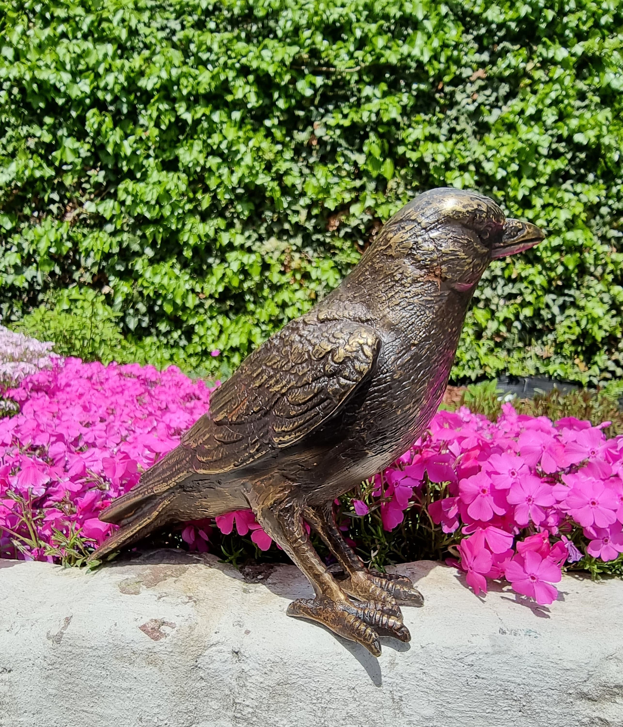 Lifelike bronze bird Garden statues Garden ornaments Bronze