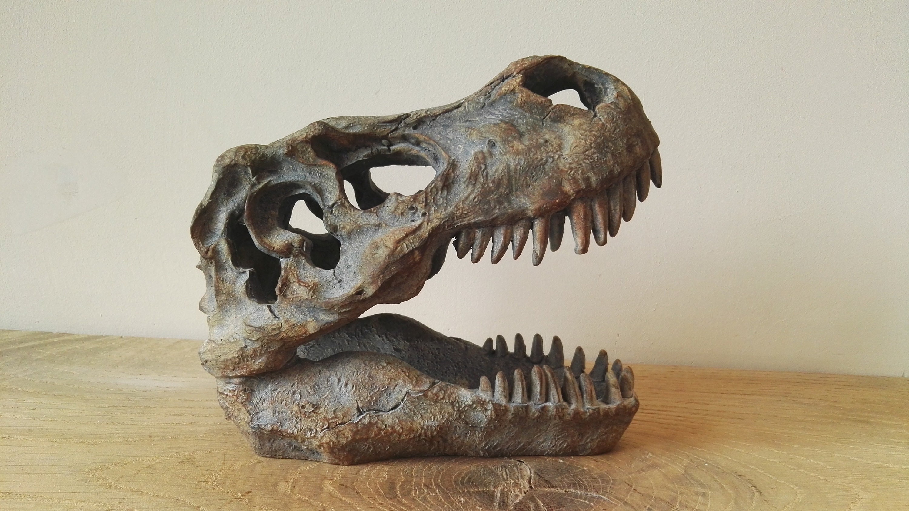 wall mounted t rex head
