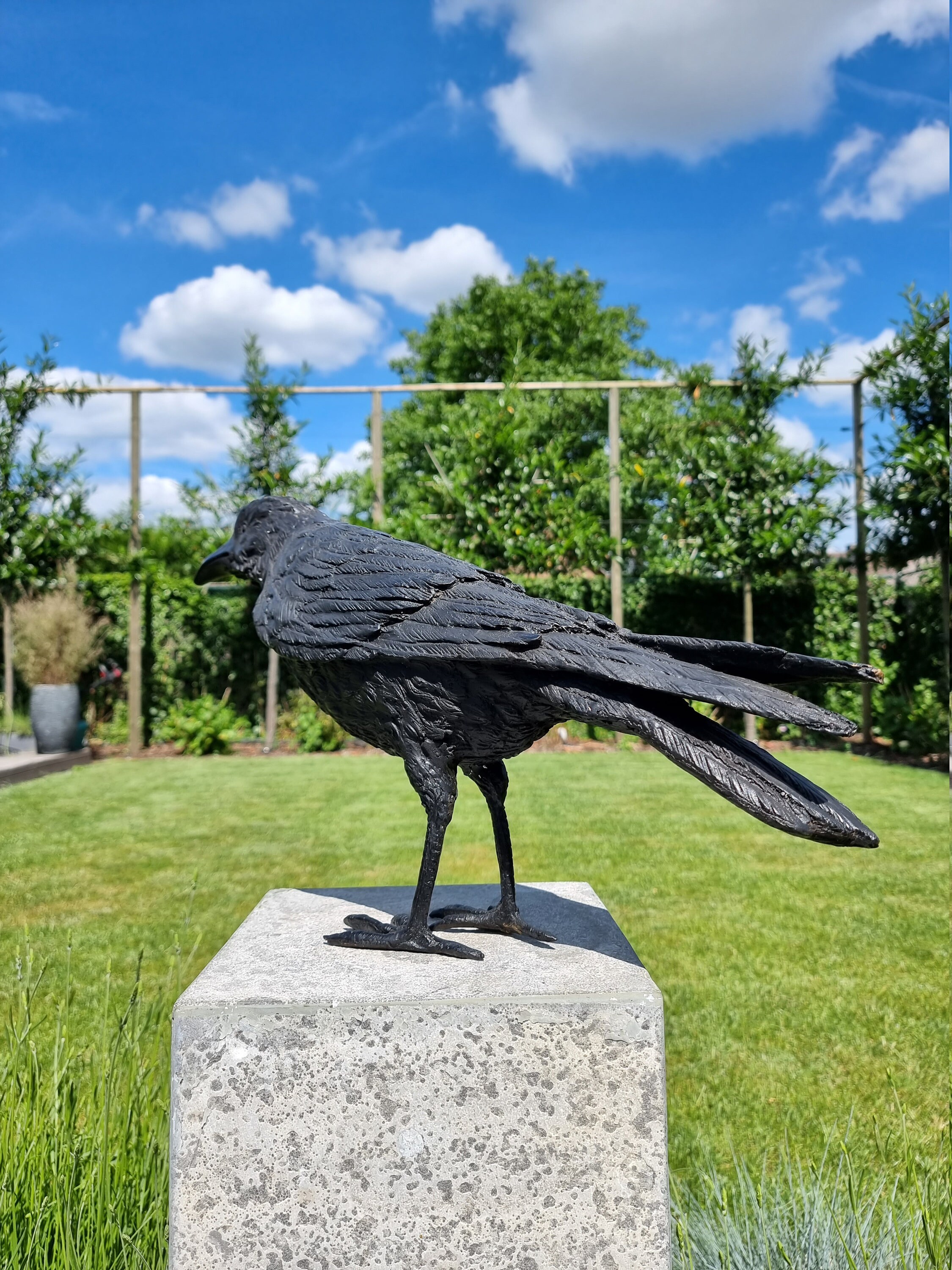Lifelike Raven Bronze raven Bronze birds Bronze garden sculpture