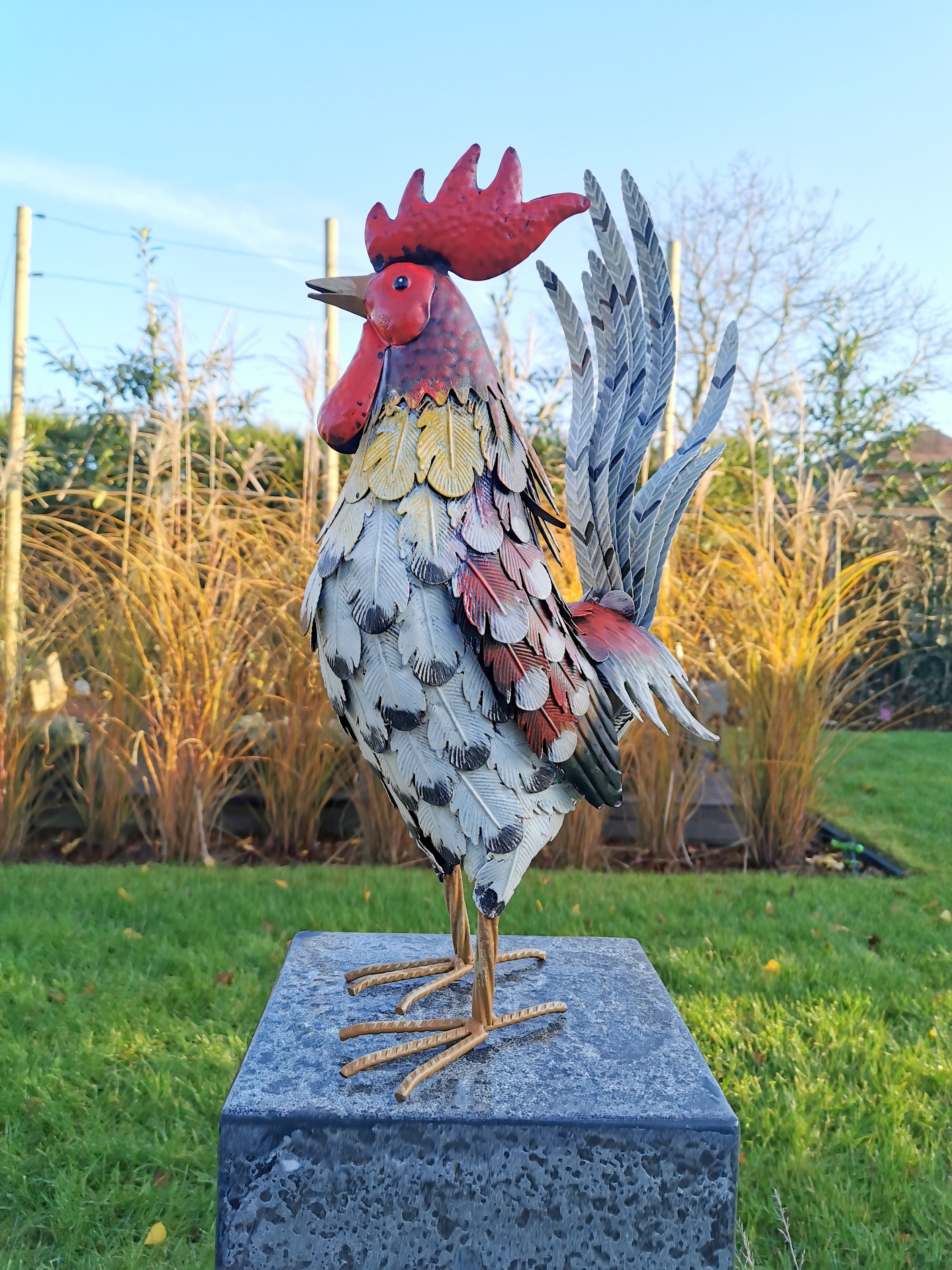 Metal Rooster ( Garden Sculpture)