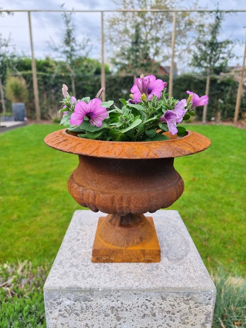 Cast Iron Flower Pot Garden Vase Cast Iron Jardinière Etsy UK